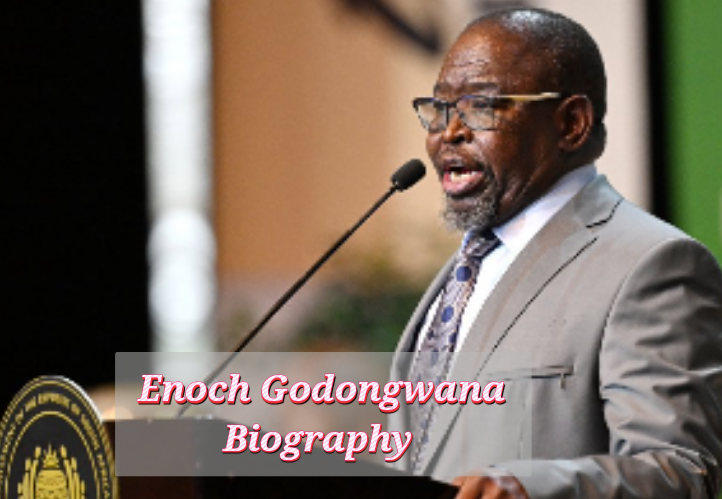 Enoch Godongwana Biography