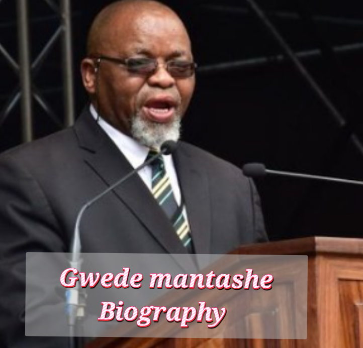 Gwede Mantashe Biography